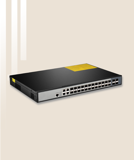 Network switches and routers